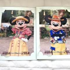 ディズニー ミッキー ミニー フォトファン トレイル グリーティングフォト