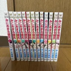 みにあまる彼氏 1-13巻 全巻セット ほしの瑞希