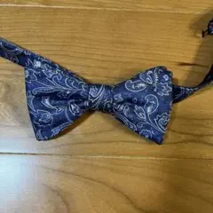 Item thumbnail for item 77e599a8-d1f5-48c8-afa6-53e4df396ea9