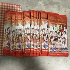 BBM 女子プロレス 2025 未開封 15パック イベント景品