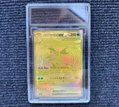 2026年最新】メガゲッコウガex murの人気アイテム - メルカリ