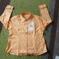 Item thumbnail for item fbc74573-ad5f-443d-afdb-64a714f58946