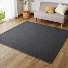 ホットカーペット ラグ