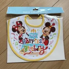 東京ディズニーリゾート限定 ミッキー ミニー 誕生日 スタイ