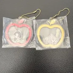 Mrs. GREEN APPLE 一番くじ　E賞 シャカシャカアクリルチャーム