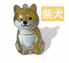 うちの子けだまだま　犬　柴犬　シバイヌ　ポメ　ビション　マルチーズ トイプードル