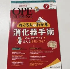 Item thumbnail for item 2c91b50c-9c8b-4ae9-9e4a-b8a5a1837b22