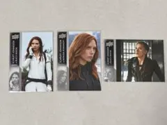 Item thumbnail for item 70768033-88c9-4af2-9039-a848279de930