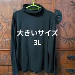 ハイネックtシャツ