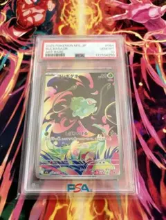 ポケモンカード PSA9 ヒトカゲ フシギダネ 2枚セット - メルカリ