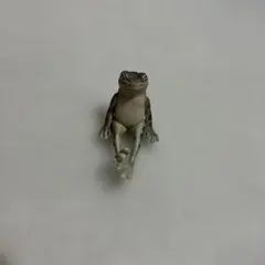 Item thumbnail for item 8d3bf2ea-4af4-4066-9b15-ad3a45e54a6d