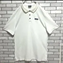【希少】パタゴニア Patagonia ポロシャツのサムネイル