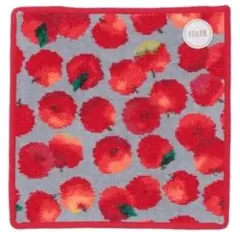 【新品・未使用】FEILERフェイラー レポムハンカチ　ライトグレー