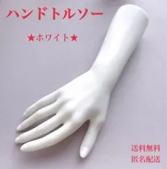 701ハンドトルソーマネキン手首腕レディースモデルハンドメイド送料無料新品人形のサムネイル