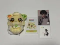 NCTWISH wishcat リョウ