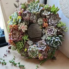 多肉植物　そのまま飾れる　華やかリース♡