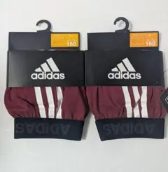 Item thumbnail for item ea5f15a9-c7fe-45a4-b918-00750b2faf70