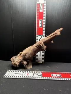 タバスコキャット様 リクエスト 4点 まとめ商品