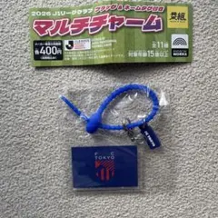 マルチチャーム FC東京