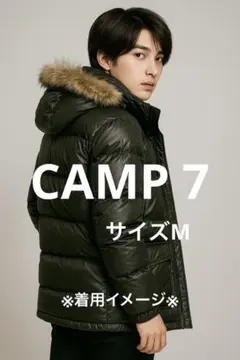 Item thumbnail for item d9337267-7ac2-496c-afc0-03ebb0600728