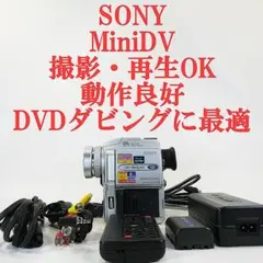 2025年最新】SONY ソニー デジタルビデオカメラ DCR-PC110
