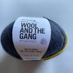 ⭐︎1486 REGIA 海外ソックヤーン　中細　80g