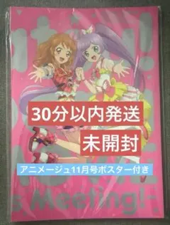 ☺️新品・未開封☺️★劇場版アイカツ！ 豪華版 特盛りパンフレット フライヤー 2025年最新】アイカツ パンフレット 豪華版の人気アイテム