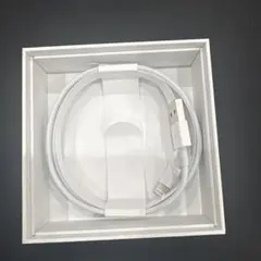 Apple AirPods with Charging Case