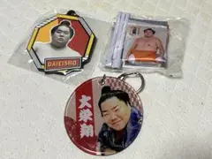 大栄翔関ガチャガチャセット