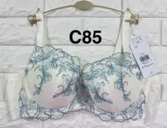 トリンプ　天使のブラ　スリムライン　極上ライト　TR634 ブラジャー　C85