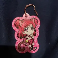 カワいろパレット　ぱんさーぴんく　のぞみ　キュアドリーム　アクキー