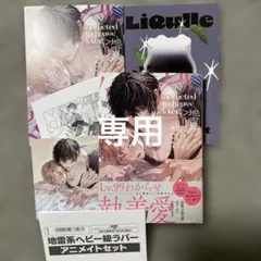 専用（追加1冊あり）