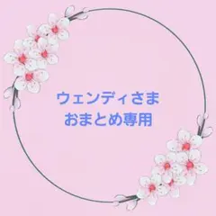 ウェンディさま　おまとめ専用ページです⭐