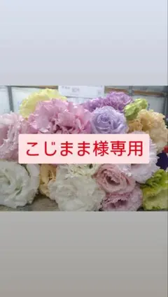 こじまま様専用ページ　トルコギキョウ　リシアンサス　生花