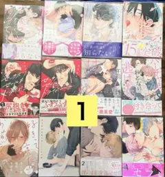 商業BL漫画　20冊まとめ売り　バラ売り可