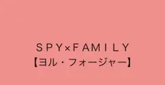ＳＰＹ×ＦＡＭＩＬＹ【ヨル・フォージャー】 まとめ売り