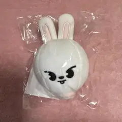 straykids スキズ leebit ぬいぐるみ セット SKZOO (Leebit・Lee Know) ぬいぐるみ - メルカリ