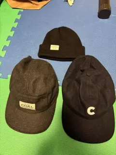 Item thumbnail for item 91086c99-098a-4a31-a1b0-d4a88c81c8ae