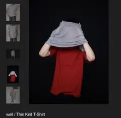 well Thin Knit T-Shirt