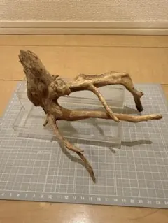 水槽用流木 アクアリウム レイアウト素材