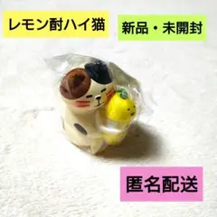 デコレ　コンコンブル　レモン酎ハイ猫　新品・未開封　匿名配送