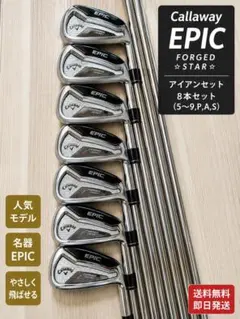 テーラーメイドPSiアイアン 4-AW（8本）Dynamic Gold S200 テーラーメイドPSiアイアン 4-AW（8本）Dynamic Gold S200 - メルカリ