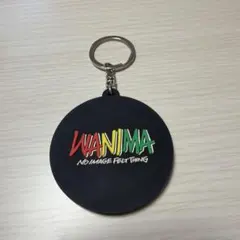 2026年最新】国内アーティスト：WANIMA ミュージシャン キーホルダーの