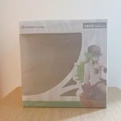 ポケモン　N　フィギュア