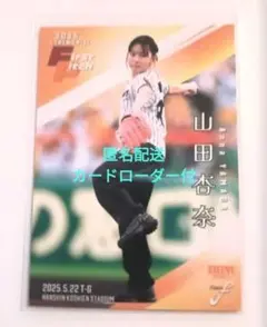 Item thumbnail for item 87a12e1b-f159-4842-937f-456cabb50423