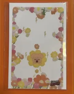 SKZOOパピームpopup特典クリアカード