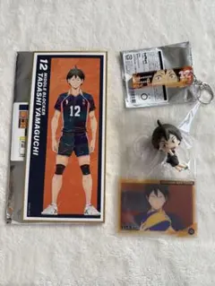 山口忠　グッズセット