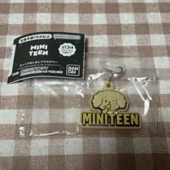 MINITEEN めじるしアクセサリー ドギョム