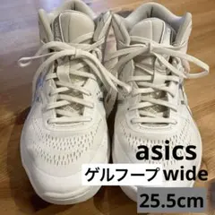 超人気モデル】 アシックス ゲルバーストスウィープ2 ホワイト×ブルー