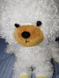 くまのがっこう　ぬいぐるみ 白